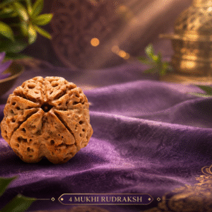 4 Mukhi Nepali Rudraksha – Authentic Four Mukhi Rudraksha for Wisdom & Knowledge