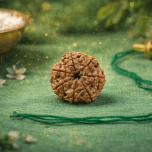6 Mukhi Rudraksha – Authentic Six Mukhi Nepali Rudraksha for Strength & Confidence