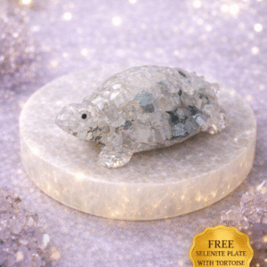 Moonstone Tortoise with Selenite Charging Plate for Emotional Healing Intuition and Energy Cleansing