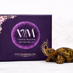 Tiger Eye Tortoise Crystal for Protection Wealth Confidence and Vastu Healing